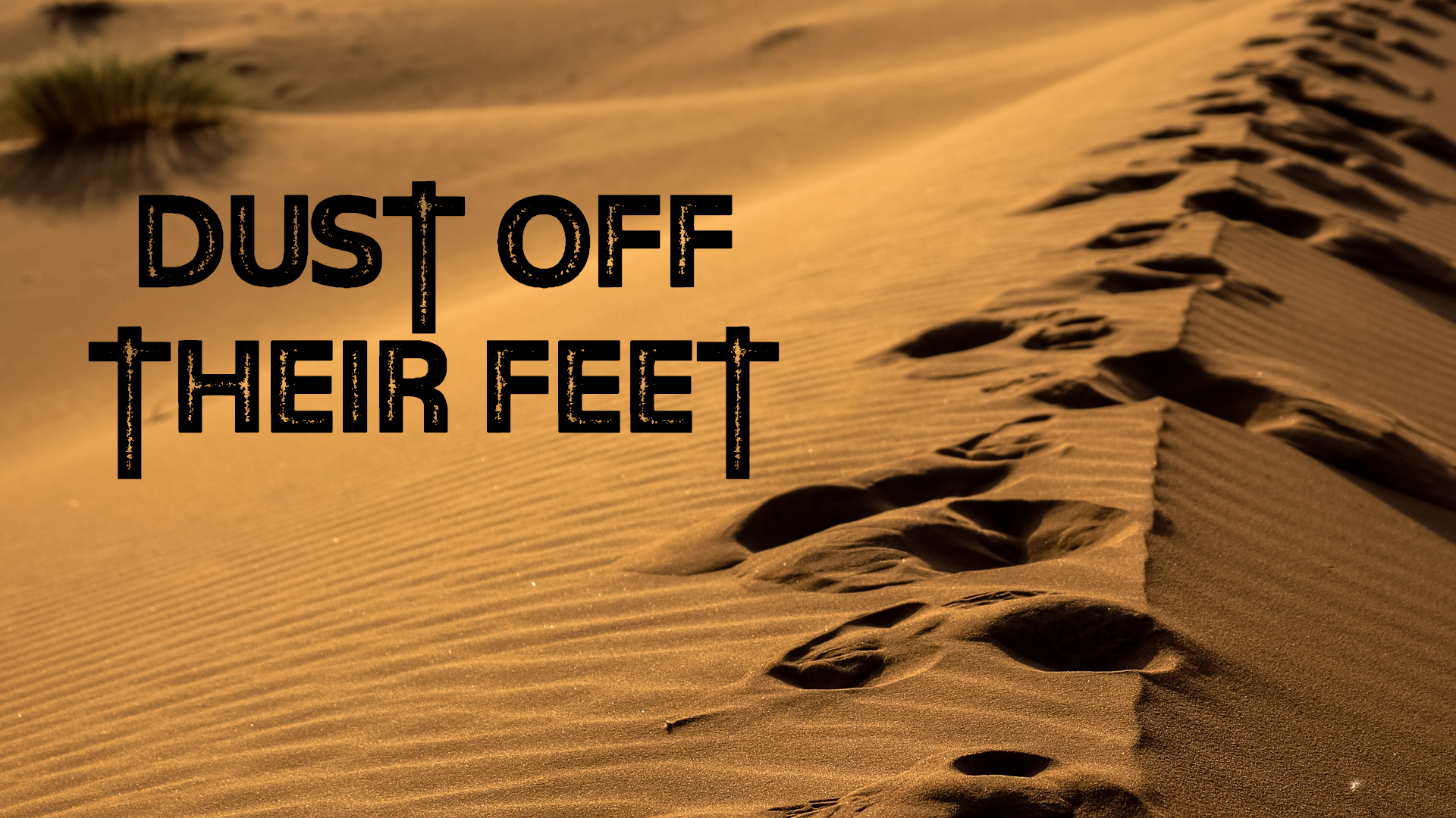 Sermons Point Loma Community Presbyterian Church